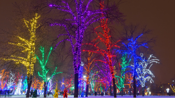 公園樹木亮化要符合哪些要求？